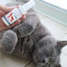 CICATRIOIL sprej na rány 50 ml