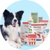 Produkty Bensel Pet Veterina