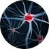 Neuropatie a neuralgie