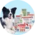Produkty Bensel Pet Veterina