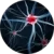 Neuropatie a neuralgie